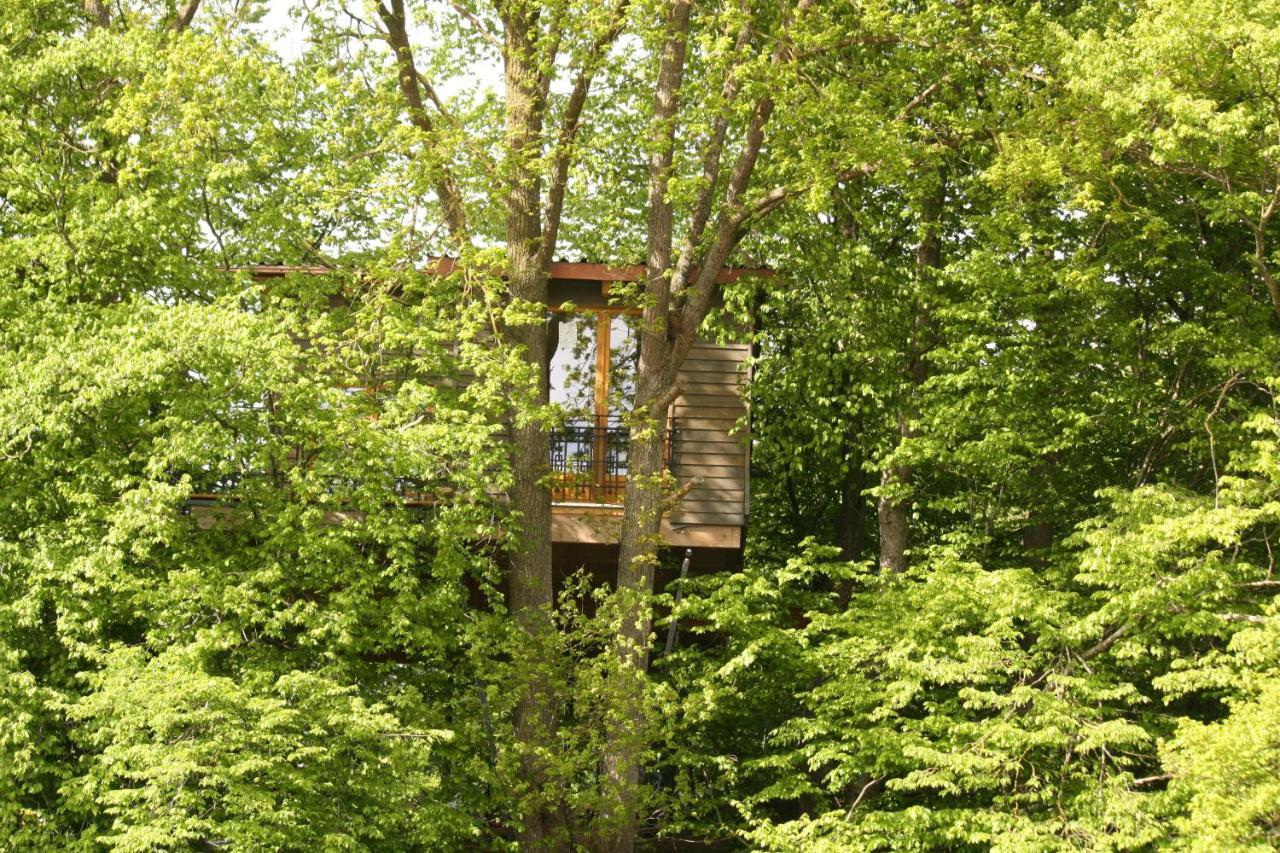 Villa Baumhaus auf dem Kellerberg Fischach Exterior foto